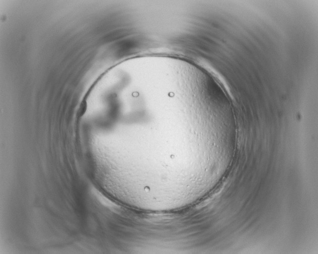 X0000059041483200511041623