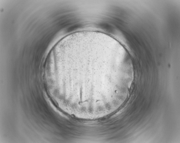 X0000059041484200511041623