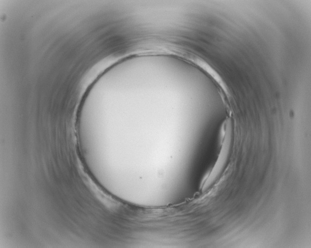 X0000059041485200511041623