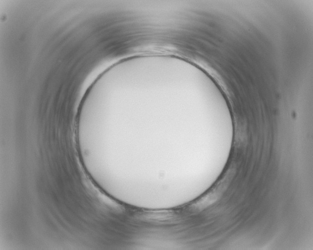 X0000059041486200511041623