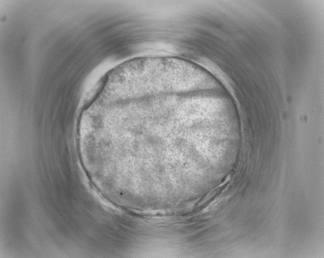 X0000059041488200511041623