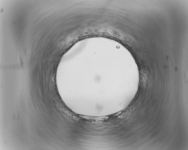 X0000059041489200511041623