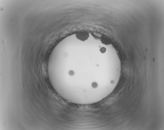 X0000059041490200511041623