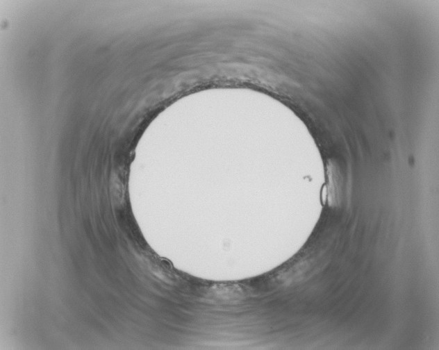 X0000059041491200511041623