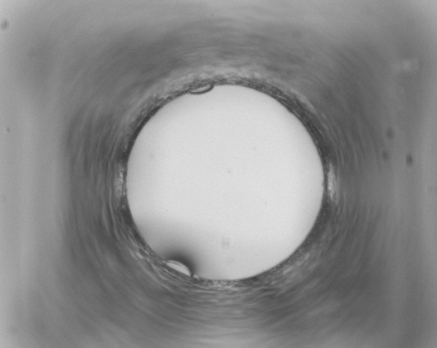 X0000059041492200511041623