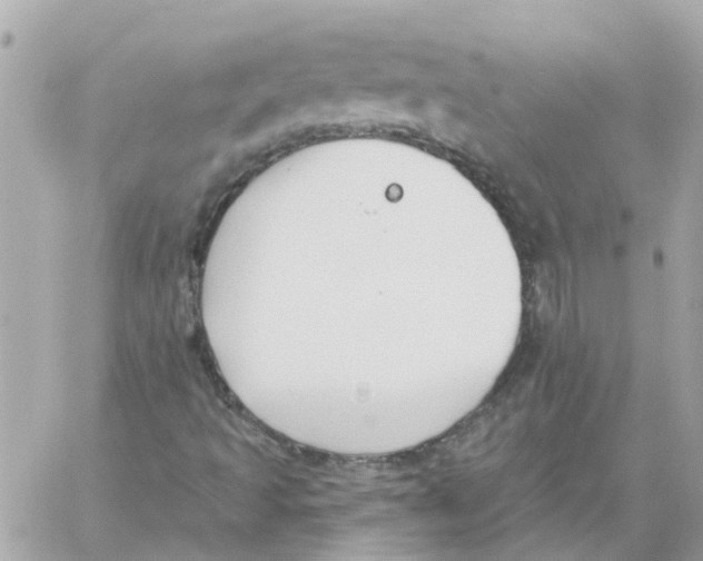 X0000059041493200511041623