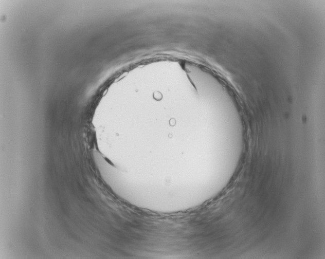 X0000059041496200511041623