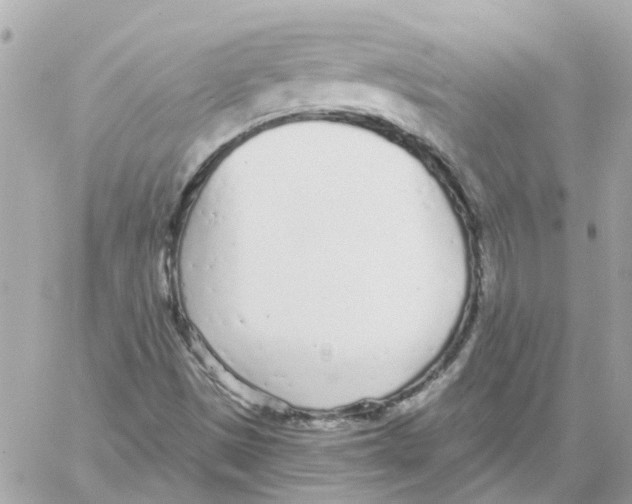 X0000059041497200511041623