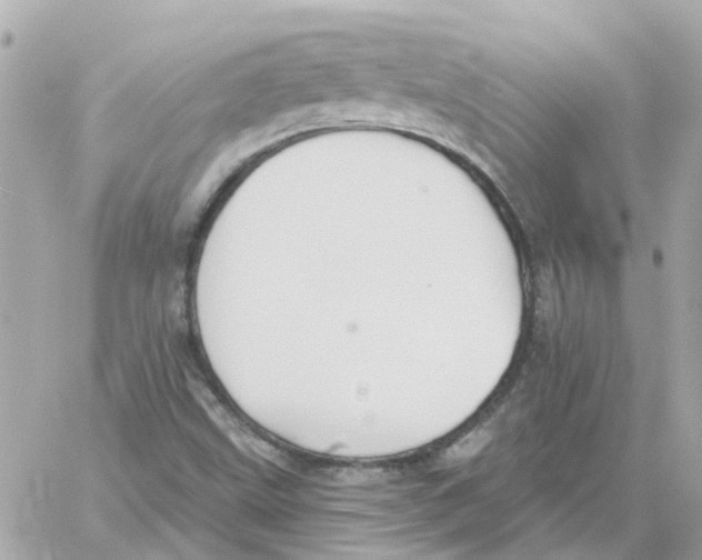 X0000059041499200511041623