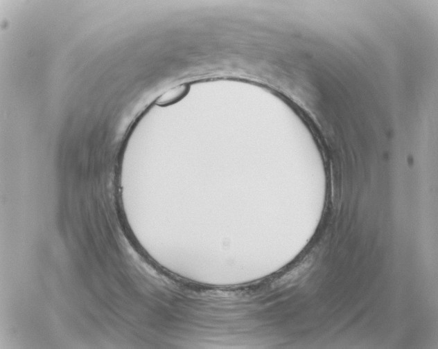 X0000059041500200511041623