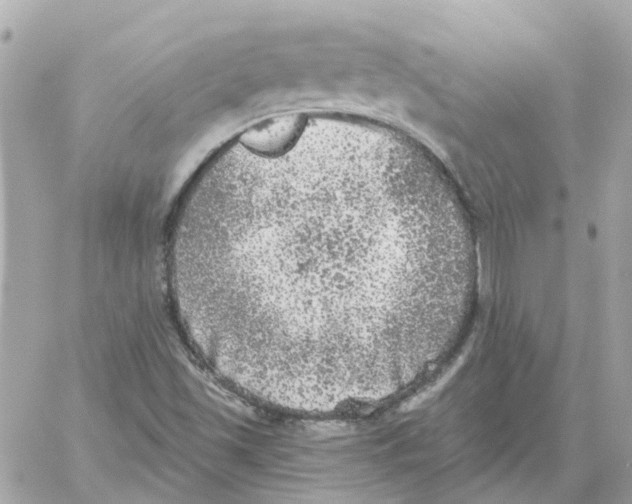 X0000059041501200511041623