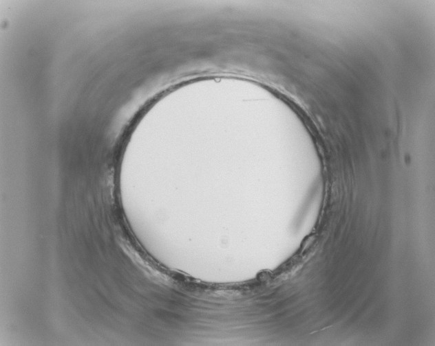 X0000059041503200511041623