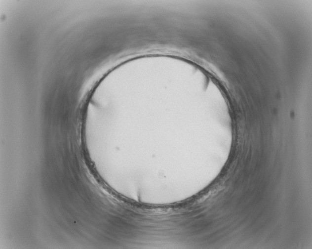 X0000059041504200511041623