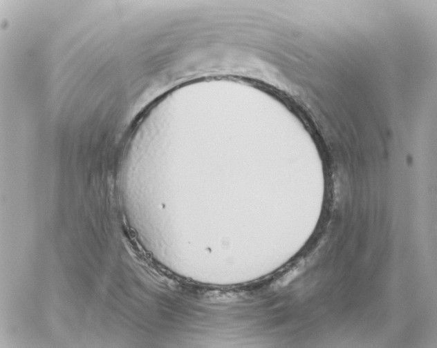 X0000059041505200511041623