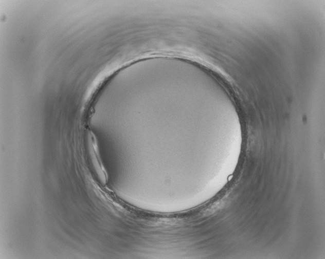 X0000059041506200511041623