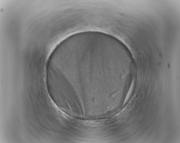 X0000059041508200511041623