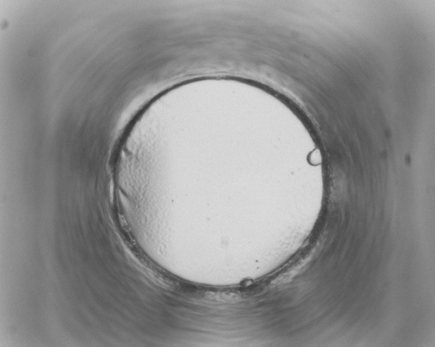 X0000059041509200511041623