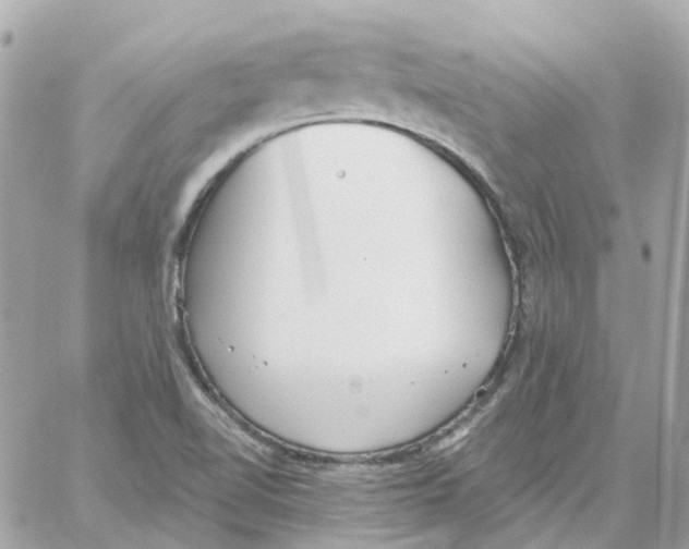 X0000059041510200511041623