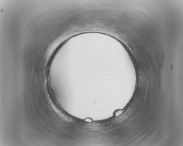 X0000059041511200511041623