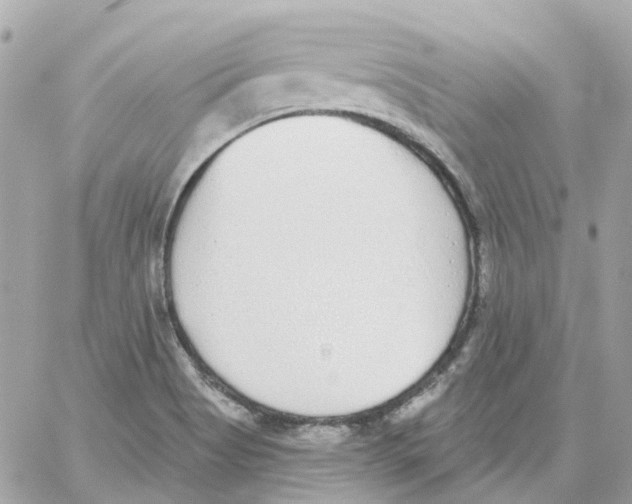 X0000059041513200511041623