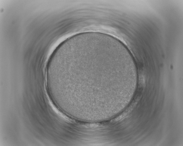 X0000059041515200511041623