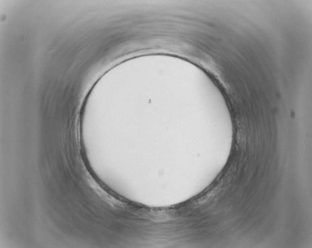 X0000059041516200511041623