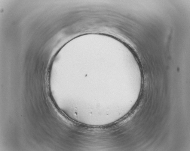 X0000059041517200511041623