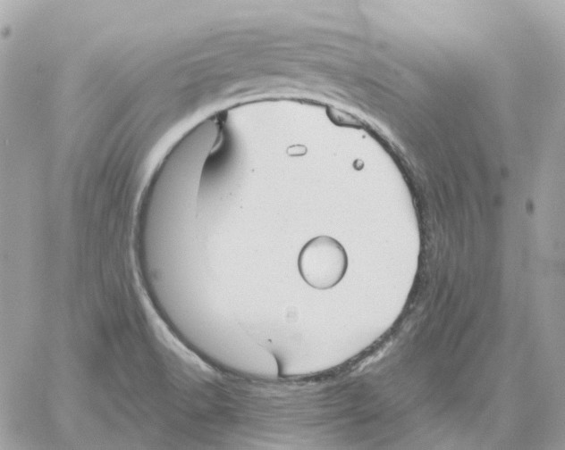 X0000059041518200511041623