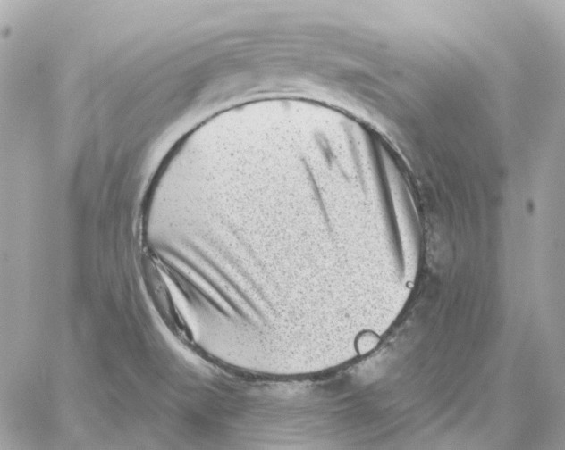 X0000059041519200511041623