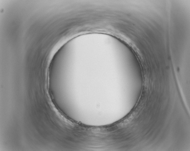 X0000059041520200511041623