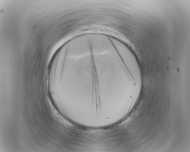 X0000059041522200511041623