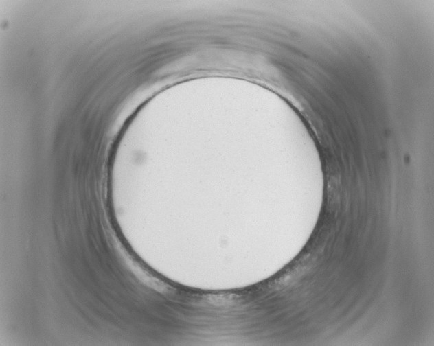 X0000059041523200511041623