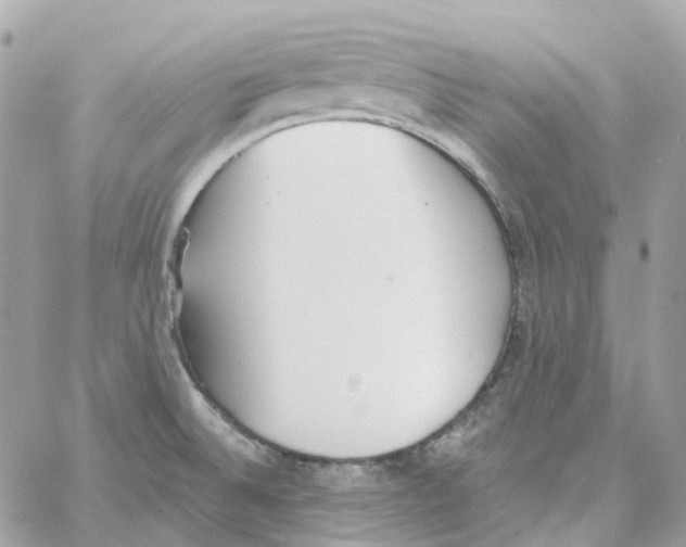 X0000059041524200511041623