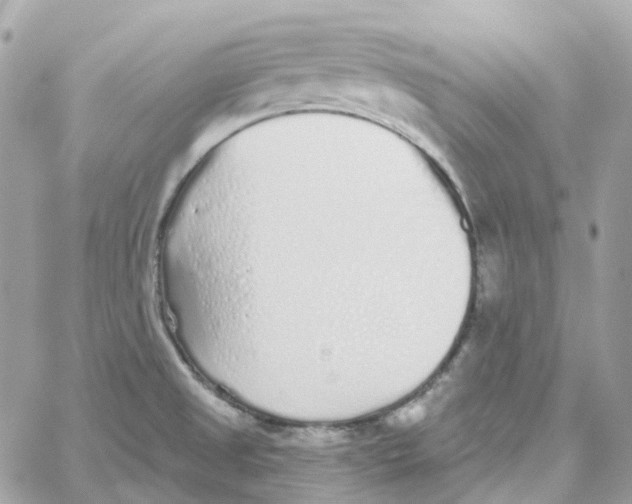 X0000059041525200511041623