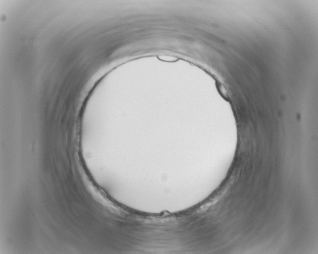 X0000059041526200511041623