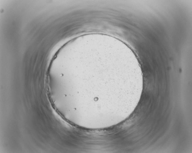 X0000059041527200511041623