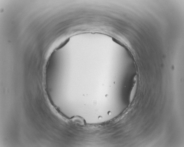 X0000059041528200511041623