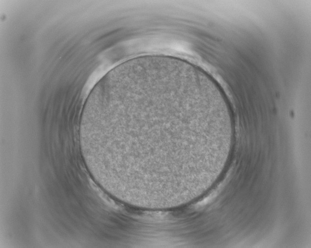 X0000059041529200511041623