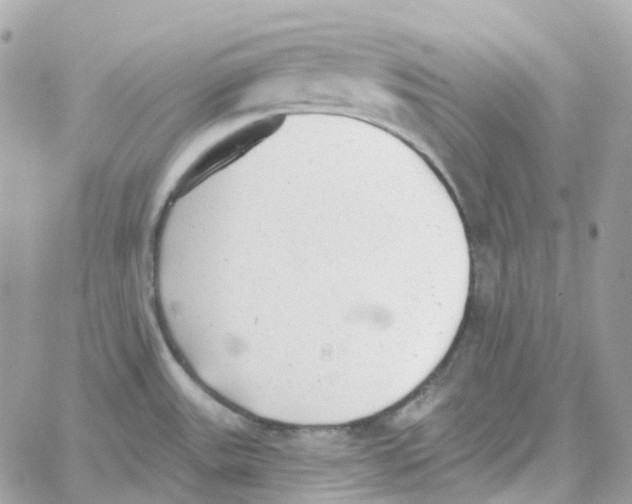 X0000059041531200511041623