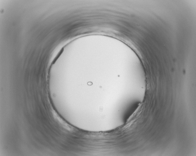 X0000059041532200511041623