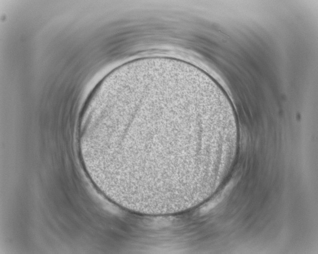 X0000059041533200511041623