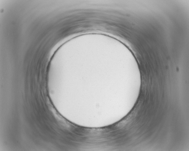 X0000059041534200511041623