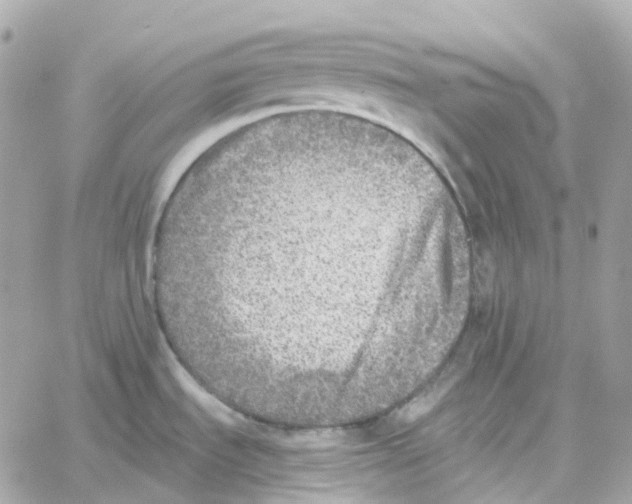 X0000059041535200511041623