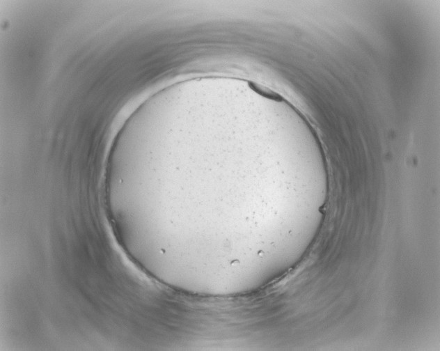 X0000059041536200511041623