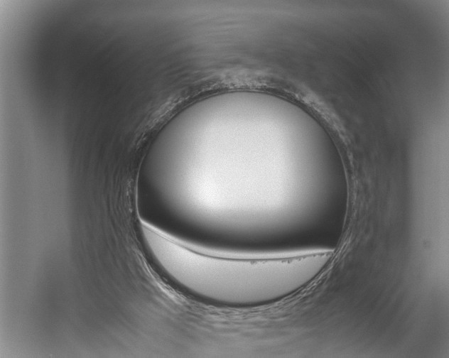 X0000059050009200510070903