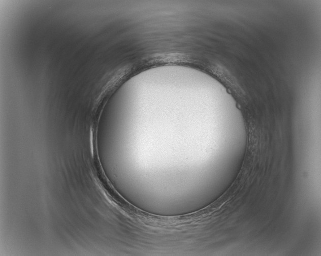 X0000059050014200510070903