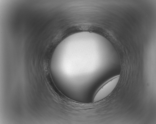 X0000059050031200510070903