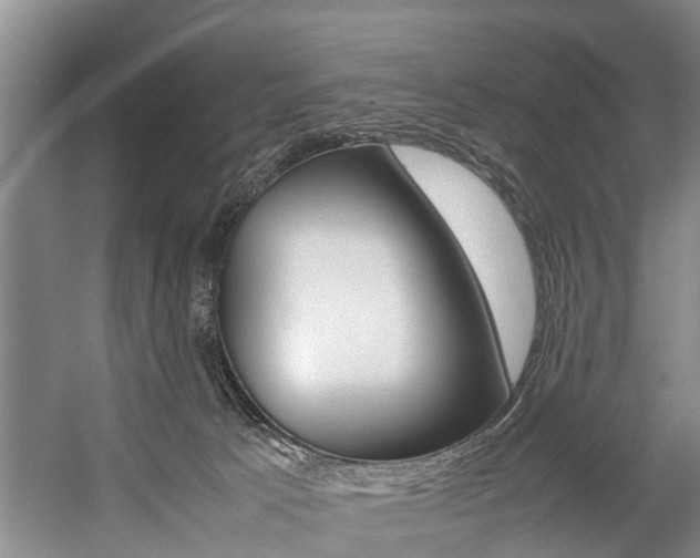 X0000059050033200510070903