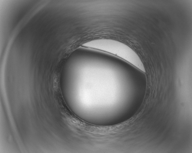 X0000059050037200510070903