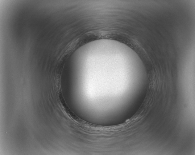 X0000059050044200510070903